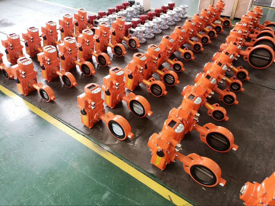 電動軟密封蝶閥D971X/D943X