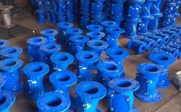 橡膠瓣止回閥SFCV,HC44X實(shí)物圖